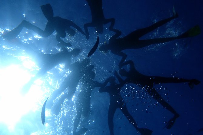 Scuba Adventure – 2 Guided Dives from Our Boat in Tenerife - First guided scuba session: volcanic reefs, rays, and hidden life
