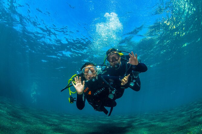 Scuba Diving Baptism Experience in Santa Cruz Tenerife - The gear lesson before you go under: the safety part you will feel
