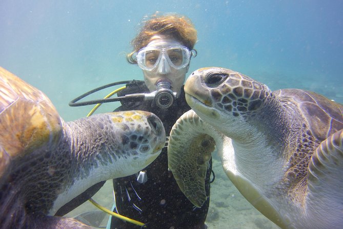 Scuba Diving Beginner's Session in Costa Adeje - Your First Underwater Lesson in Costa Adeje