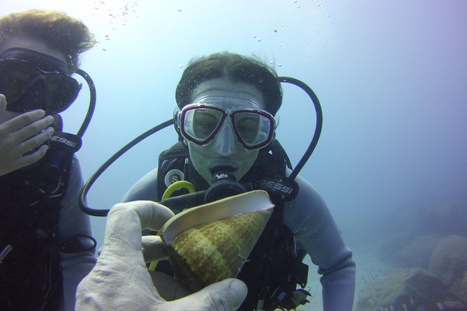 Scuba Diving Beginner's Session in Costa Adeje - Training First: Skills That Make You Feel Safe