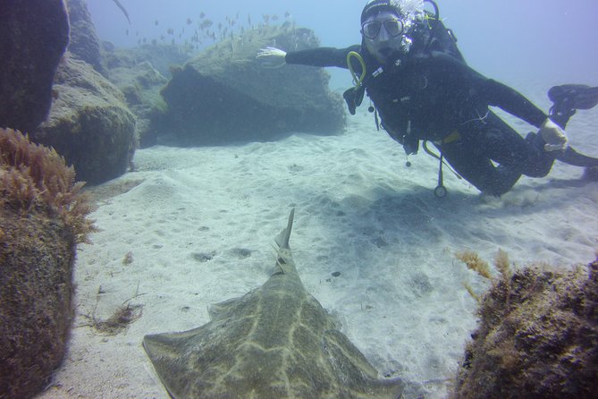 Scuba Diving Beginner's Session in Costa Adeje - Shore Entry vs. Boat Conditions, and Why Visibility Matters