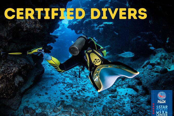 Scuba Diving for Certified Divers in Costa Adeje - Starting at PADI 5 Travel Sub in Costa Adeje