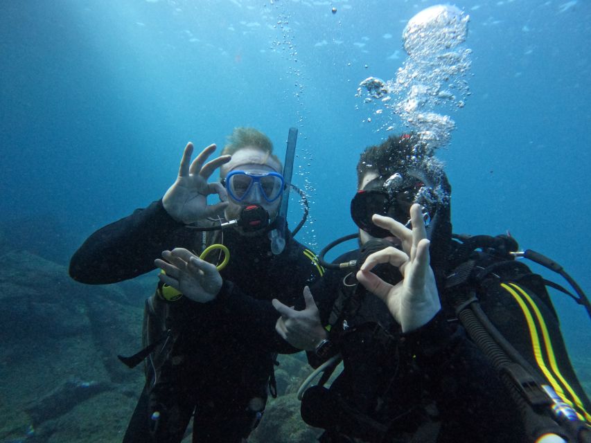 Scuba Diving trips for Certified Divers in Tenerife - Boat ride timing: 15 minutes out, 45 minutes in the water