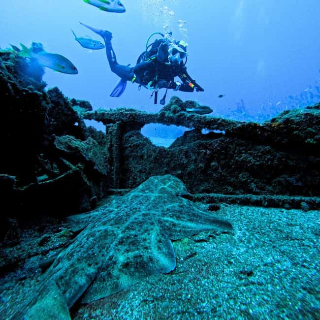 Scuba Diving trips for Certified Divers in Tenerife - What’s included, what costs extra, and why the price feels fair