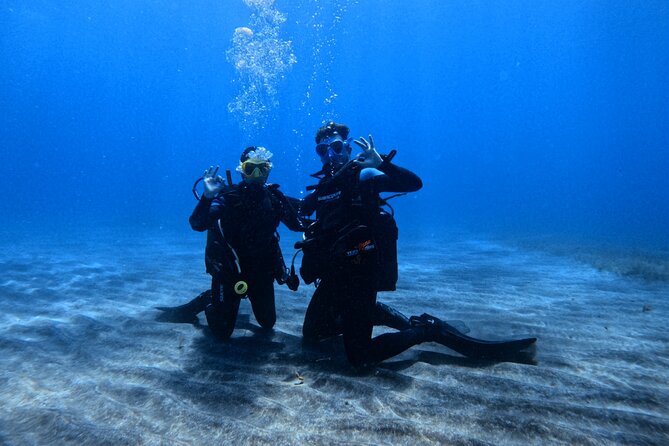 Scuba Experience in Tenerife with Guide - Key Highlights You Should Not Miss