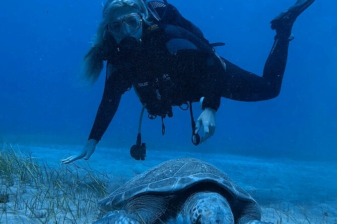 Scuba Experience in Tenerife with Guide - The Safety Briefing That Actually Prepares You