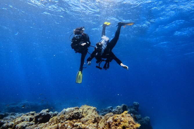 Scuba Experience in Tenerife with Guide - Shallow-Water Skill Practice: Where Confidence Gets Built Fast