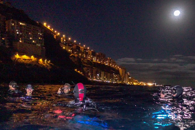 Scuba Night Dive on Tenerife - Key things to know before you go