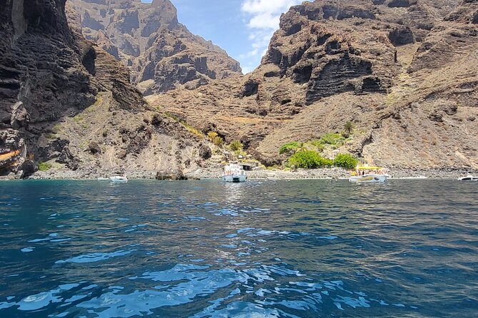 SEA SAFARI Dolphins, Whales, 3h speedboat DISCOVERY-TOUR - Speedboat Safari From Puerto Colón in About Three Hours