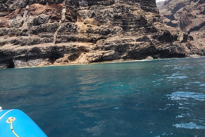 SEA SAFARI Dolphins, Whales, 3h speedboat DISCOVERY-TOUR - Swimming and Snorkeling Time, With Gear Included