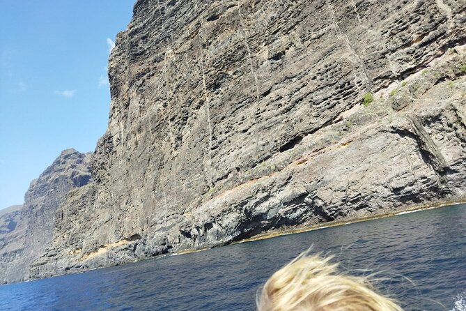 SEA SAFARI Dolphins, Whales, 3h speedboat DISCOVERY-TOUR - Food and Drinks on the Boat, So You Can Focus on the Sea