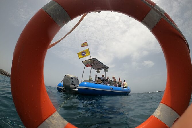 SEA SAFARI, Dolphins, Whales, snorkeling, snack and drink, 2 h speedboat - Snack, drinks, and how the crew keeps the day moving