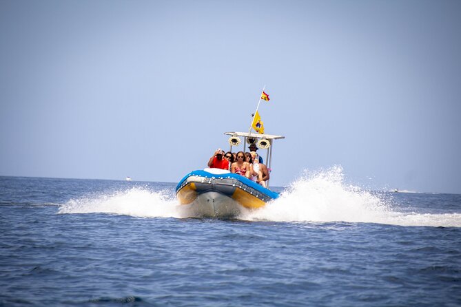 SEA SAFARI Dolphins,Whales, snorkeling, snack, drink, 3h private - Key points worth knowing before you go