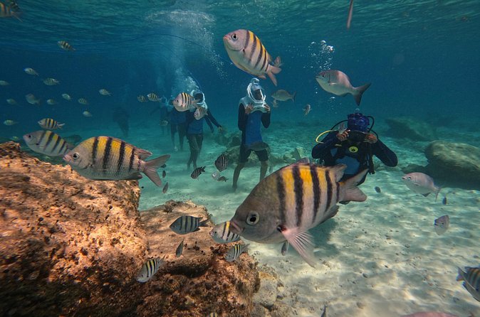 Sea Trek Underwater Walk in Tenerife – No Swimming Required - The Volcán El Teide stop, and why it matters here