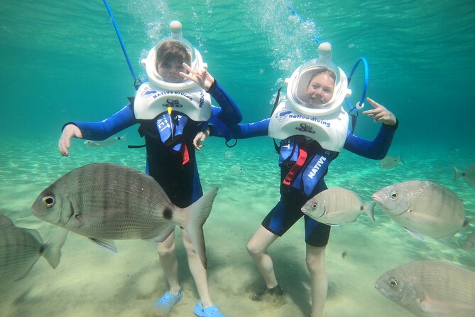 Sea Trek Underwater Walk in Tenerife – No Swimming Required - Your 20 to 25 minute walk, fish, rocks, and calm control
