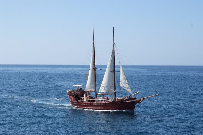 Sealife Dolphin & Whale Watching aboard Portuguese schooner - Los Cristianos meeting point: where your trip starts