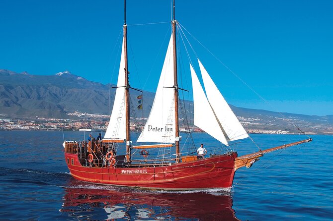 Sealife Dolphin & Whale Watching aboard Portuguese schooner - Photo and comfort tips for a deck-based whale and dolphin outing