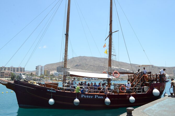 Sealife Dolphin & Whale Watching aboard Portuguese schooner - Who this tour suits best in Tenerife