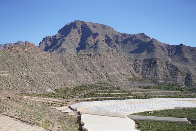 Secret Volcano Tour by Tuk Tuk in Costa Adeje - English Guide Quality: The Difference Maker on a Short Trip