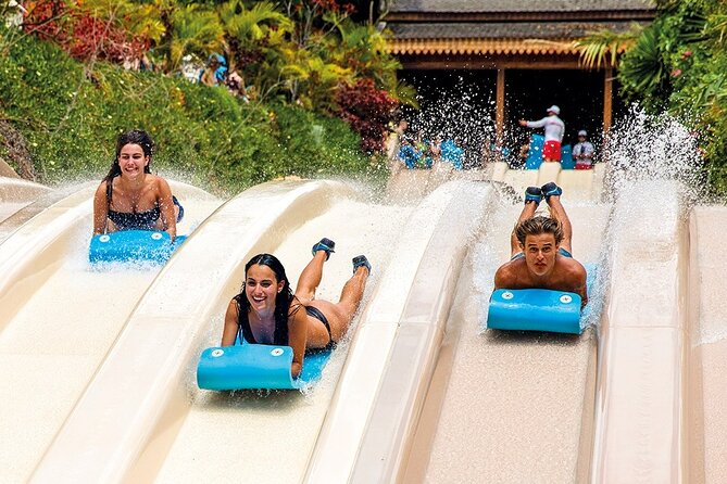 Siam Park Tenerife Entry Tickets - Aquatic playground for kids, plus where parents can breathe