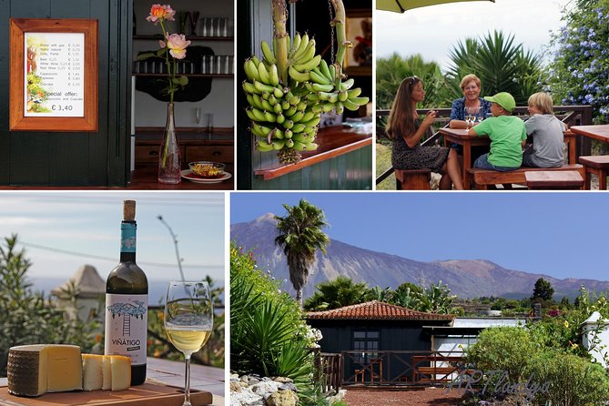 Skip the Line: Artlandya Admission Ticket in Tenerife - Architecture, café terrace, and small pauses that make the visit nicer