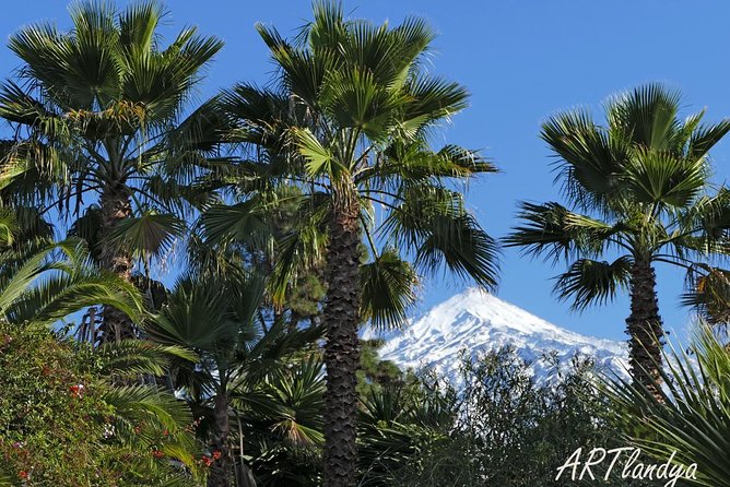 Skip the Line: Artlandya Admission Ticket in Tenerife - Practical flow: how to time your visit with a small group
