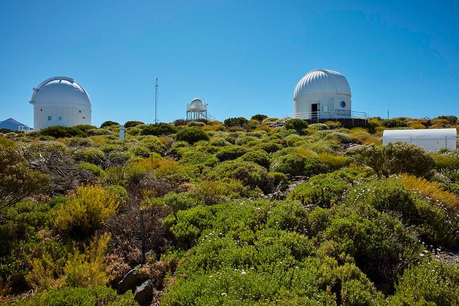 Skip the Line: Teide Observatory Entrance Ticket - Why the Teide Observatory tour feels different from a museum visit