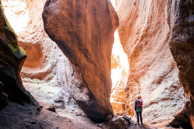 Small-Group Half-Day Canyoning in La Orotava - Key highlights to plan around
