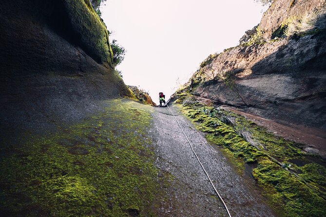 Small-Group Half-Day Canyoning in La Orotava - La Orotava start point and the pine-forest warm up