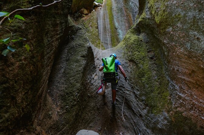 Small-Group Half-Day Canyoning in La Orotava - Who this tour suits best (and who should skip it)