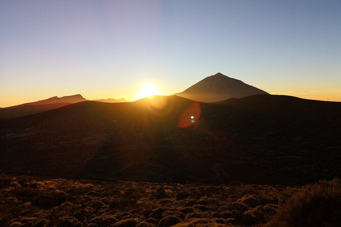 Small-Group Half-Day Tour of Teide National Park with Pickup - Return Via Volcano Viewpoints, Pine Forest, and Abono Wine Country