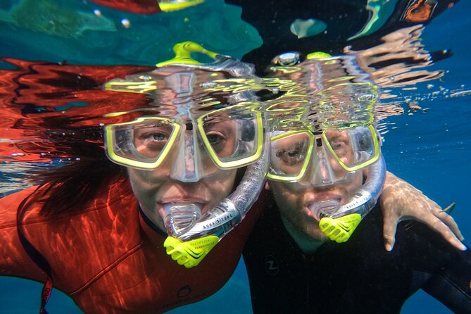 Small Group Snorkeling in Abades Bay with Licensed Guide - The guided hour: learning the snorkel and spotting marine life