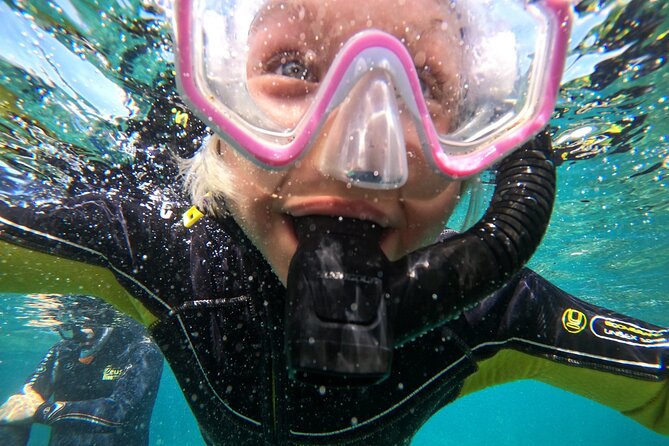 Small Group Snorkeling in Abades Bay with Licensed Guide - What’s included, and why the price feels fair