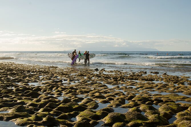Small Group Surf Lesson in Playa de las Américas - Price and Value: Why $41 Can Be a Good Deal Here