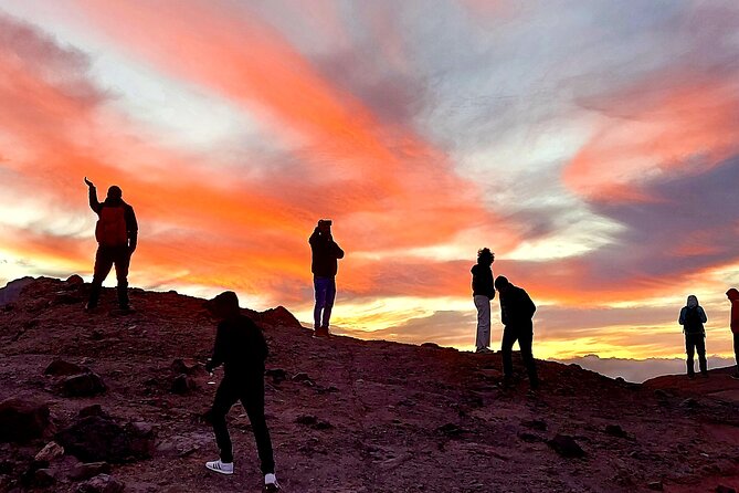 Small Group Teide National Park Volcanic and Forest Wonders - From South Tenerife to Teide, the pickup makes the day