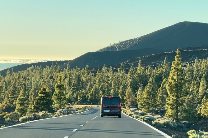 Small Group Teide Stargazing Tour with Picnic at Sunset - Price and value: tickets included, plus food that saves you money