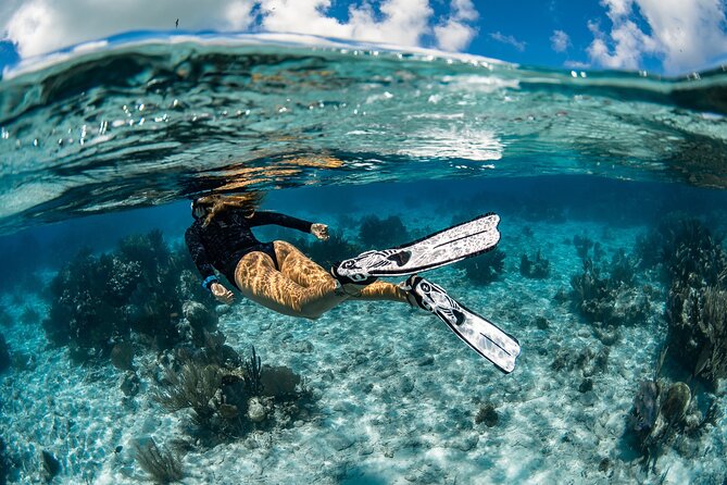 Snorkel Rental 24h, discover Tenerifes Ocean on your own! - Key highlights at a glance