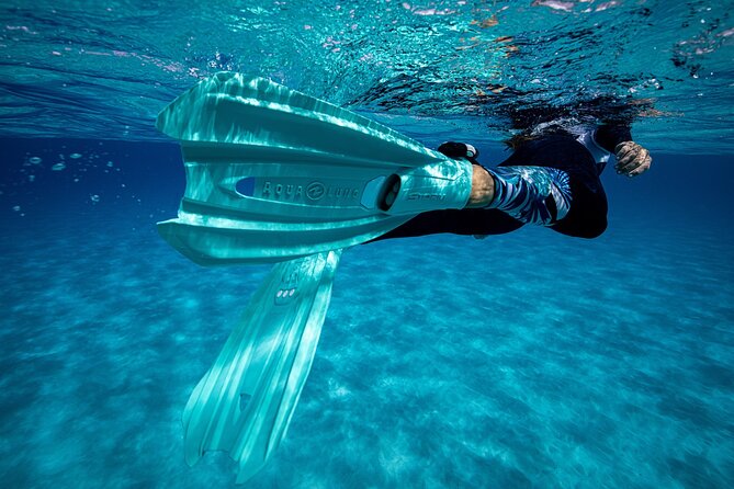 Snorkel Rental 24h, discover Tenerifes Ocean on your own! - How the Staff Help You, Even Without a Guide