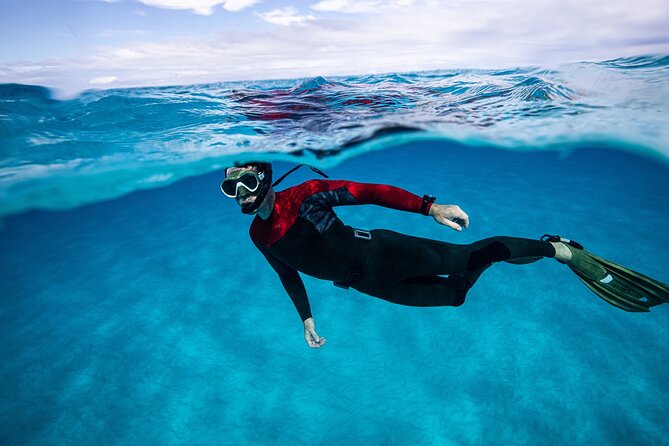 Snorkel Rental 24h, discover Tenerifes Ocean on your own! - Price and Value: Why $22.64 Can Make Sense