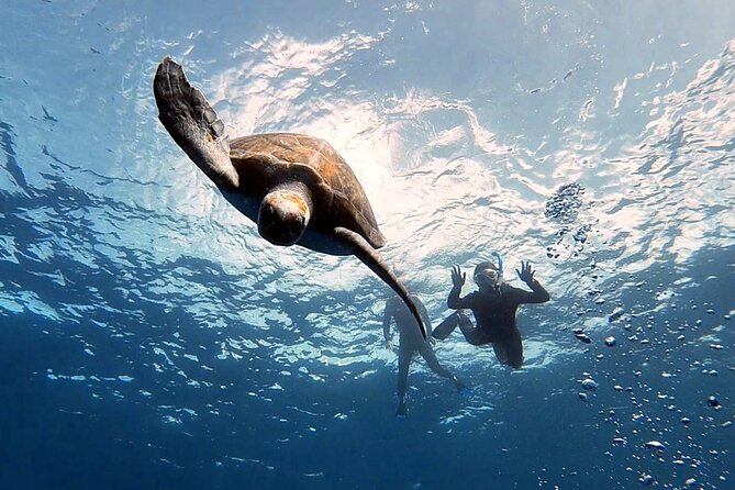 Snorkeling excursion in the Rayas and Turtles Zone - Key highlights you will feel immediately