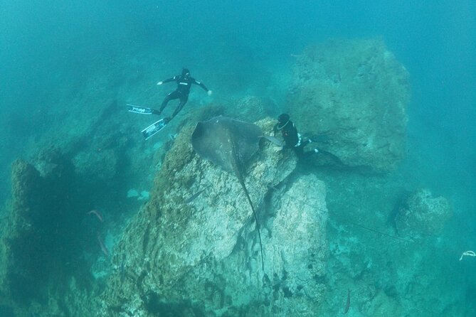 Snorkeling excursion in the Rayas and Turtles Zone - How the 1 hour 30 minutes feels in real time
