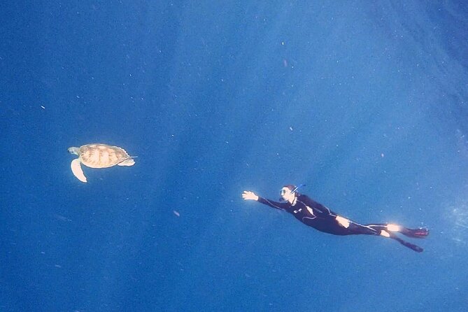 Snorkeling excursion in the Rayas and Turtles Zone - Marina del Sur or Abades coast, depending on sea conditions