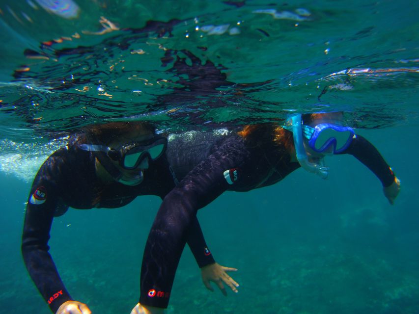 Snorkeling in a Volcanic Bay - Marina del Sur to the bay: how the 1.5 hours plays out