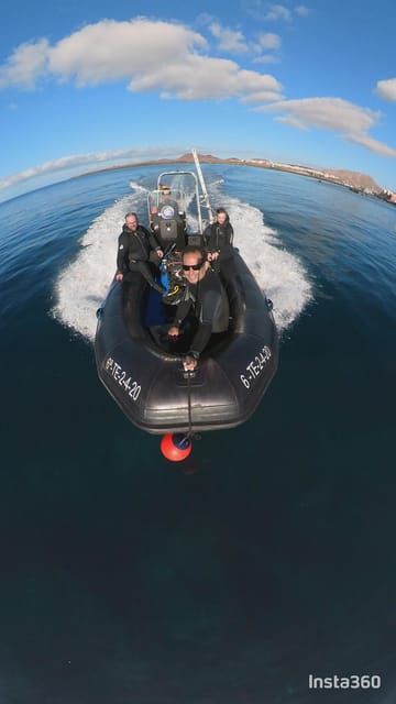 Snorkeling in a Volcanic Bay - What you can realistically see: volcanic rocks plus Tenerife wildlife