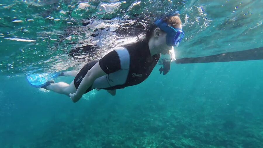 Snorkeling in a Volcanic Bay - Photos included: why the photo report is more valuable than you think