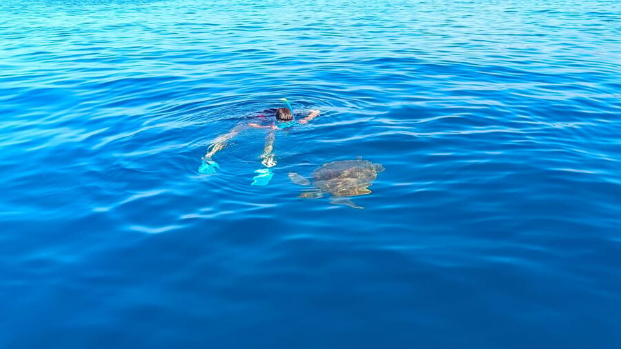 Snorkeling in a Volcanic Bay - Who this snorkeling trip suits best