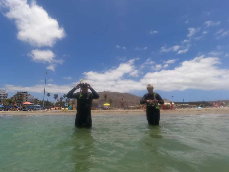 Snorkeling in tenerife south: Discover the underwater world - Key points worth knowing