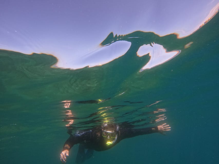 Snorkeling in tenerife south: Discover the underwater world - Gear and comfort: included equipment that matters