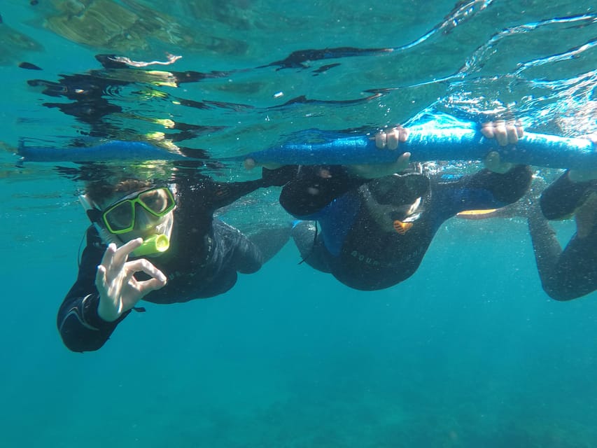 Snorkeling in tenerife south: Discover the underwater world - Timing, group size, and why it feels family-friendly