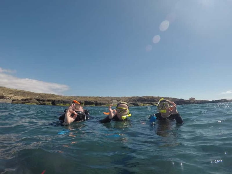Snorkeling in tenerife south: Discover the underwater world - Price and value: is $47 a fair deal?